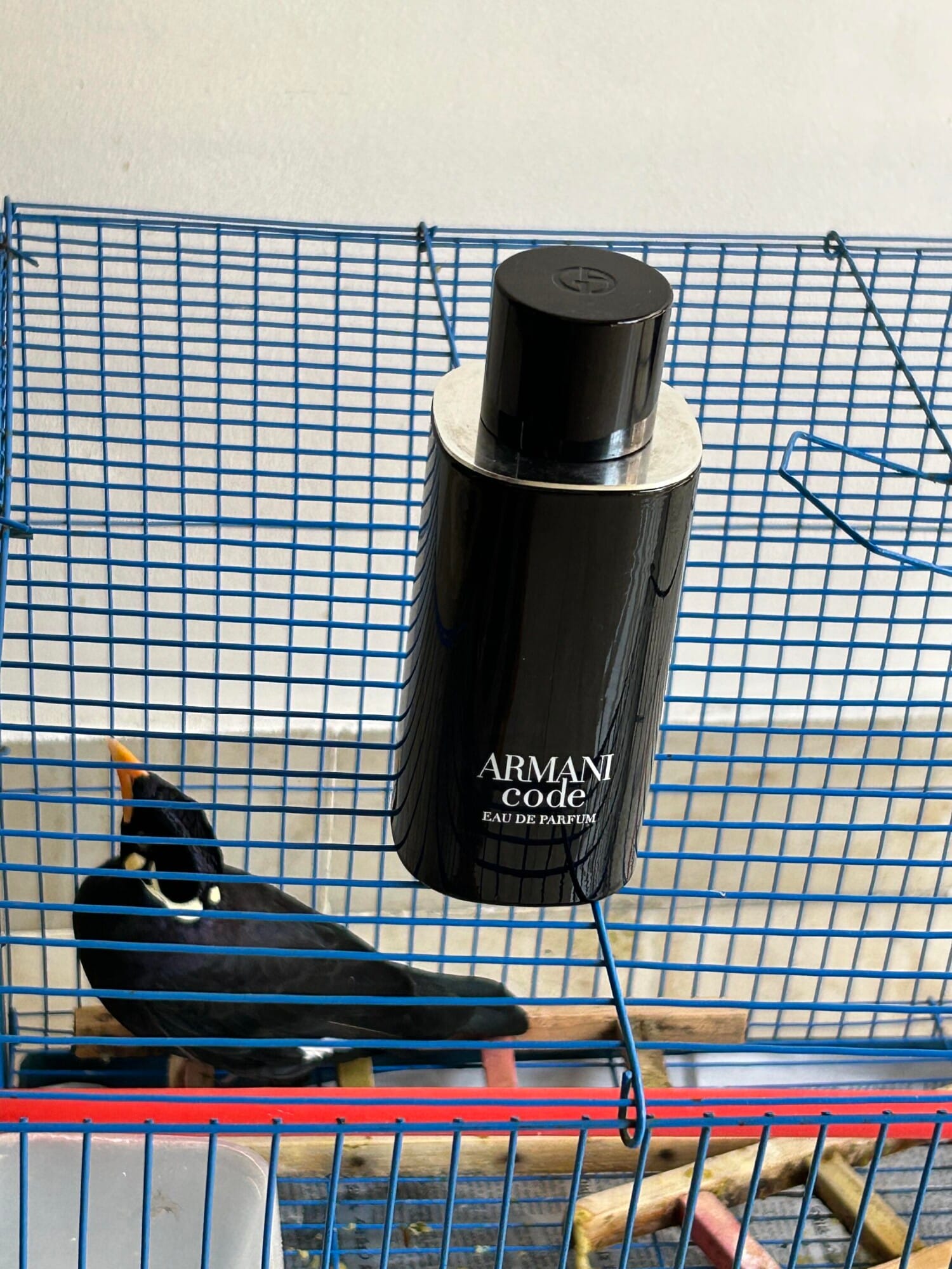 Armani Code Eau de Parfum, on-skin / lifestyle