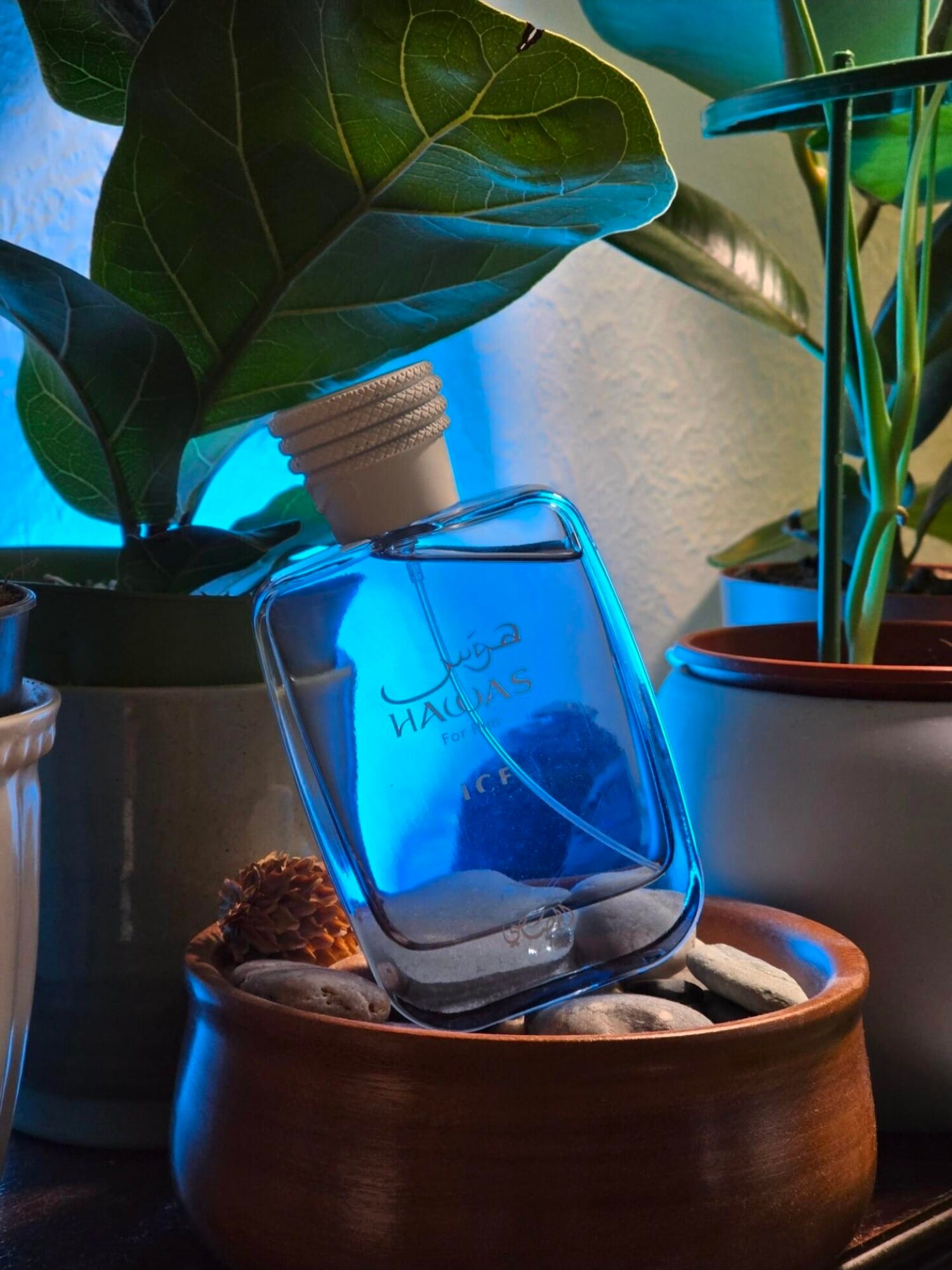 Hawas Ice, on-skin / lifestyle