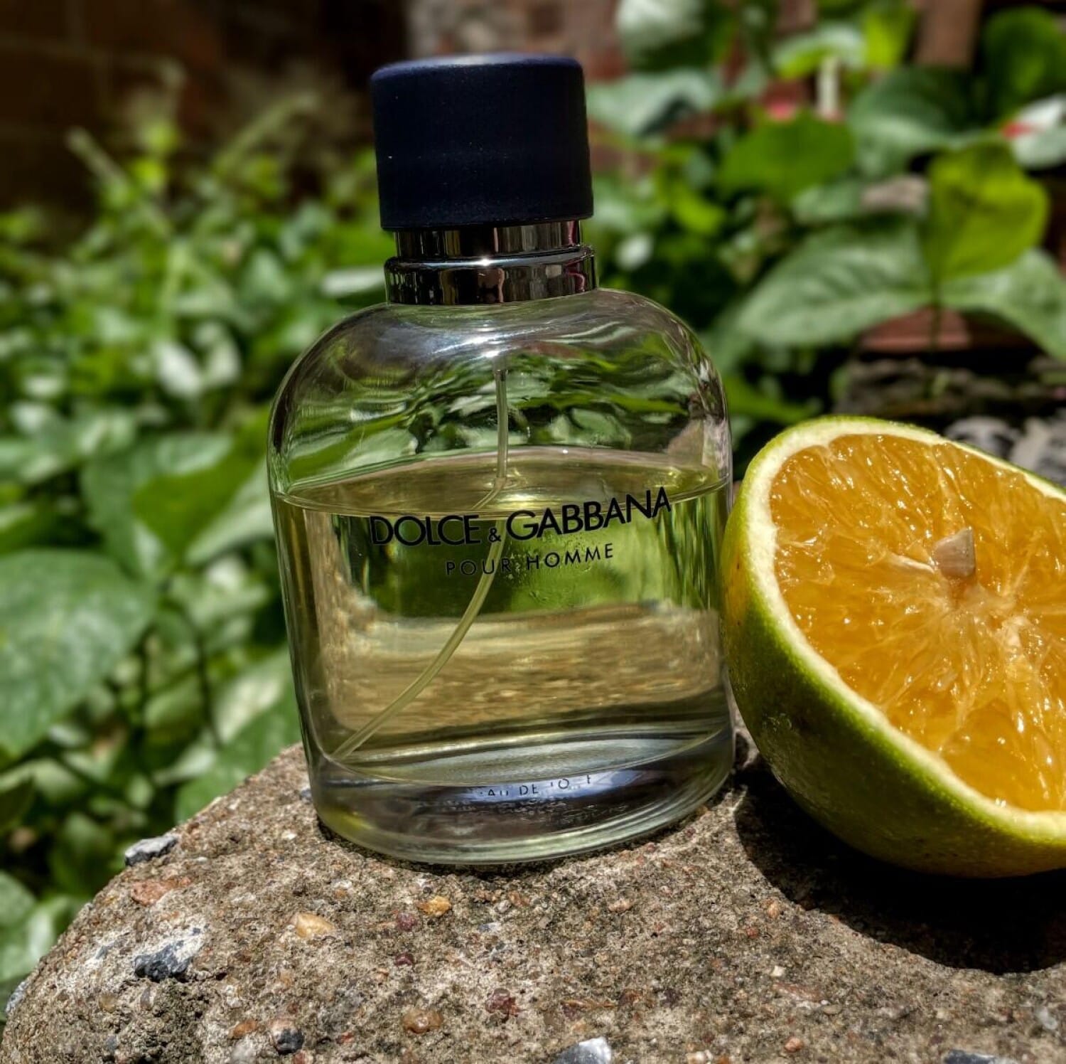 Dolce&Gabbana Pour Homme, on-skin / lifestyle