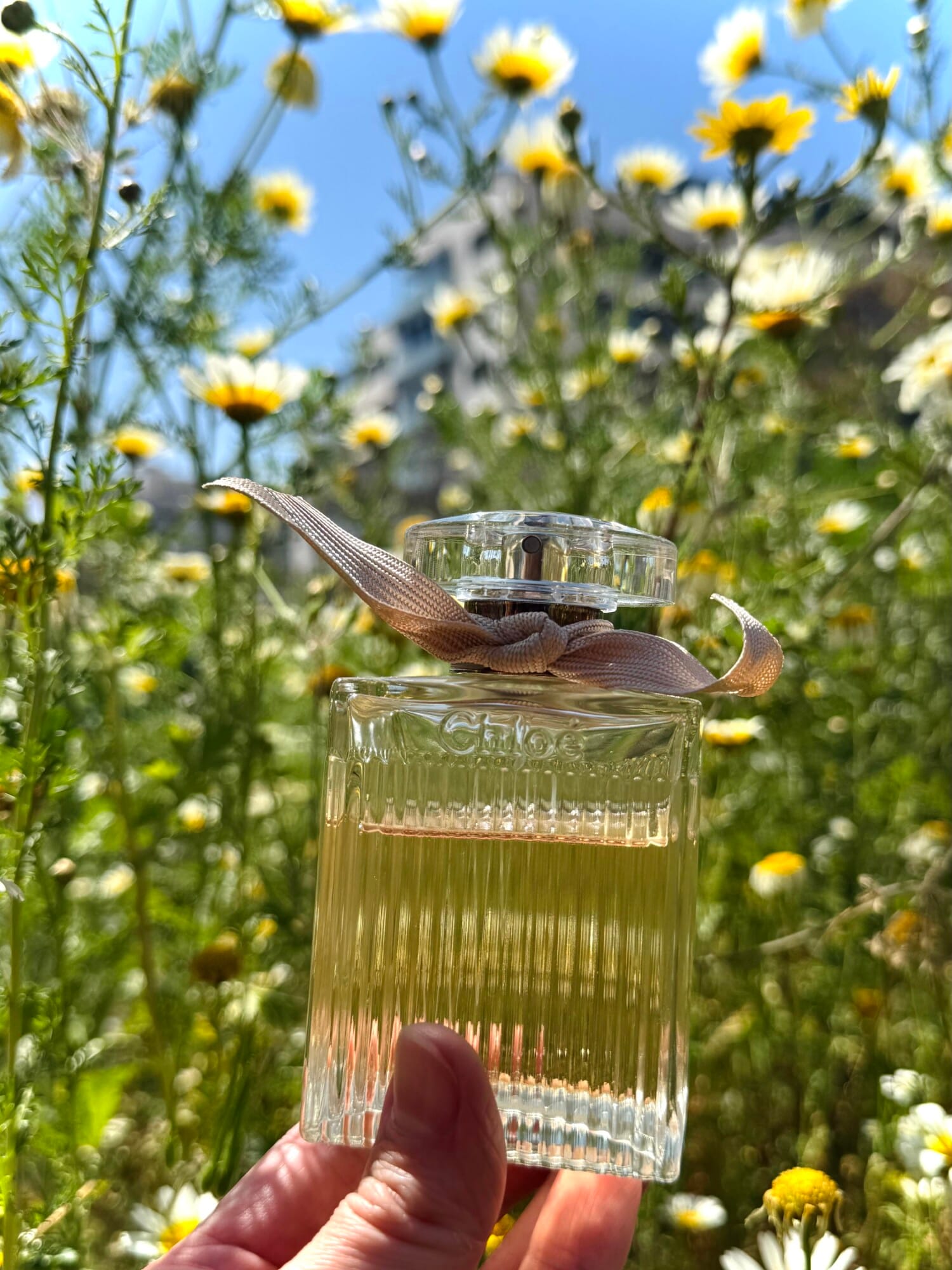 Chloé Eau de Parfum, view