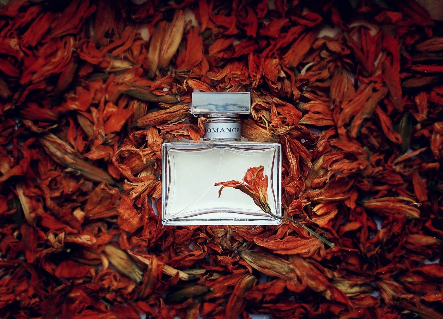 Romance, bottle, angle