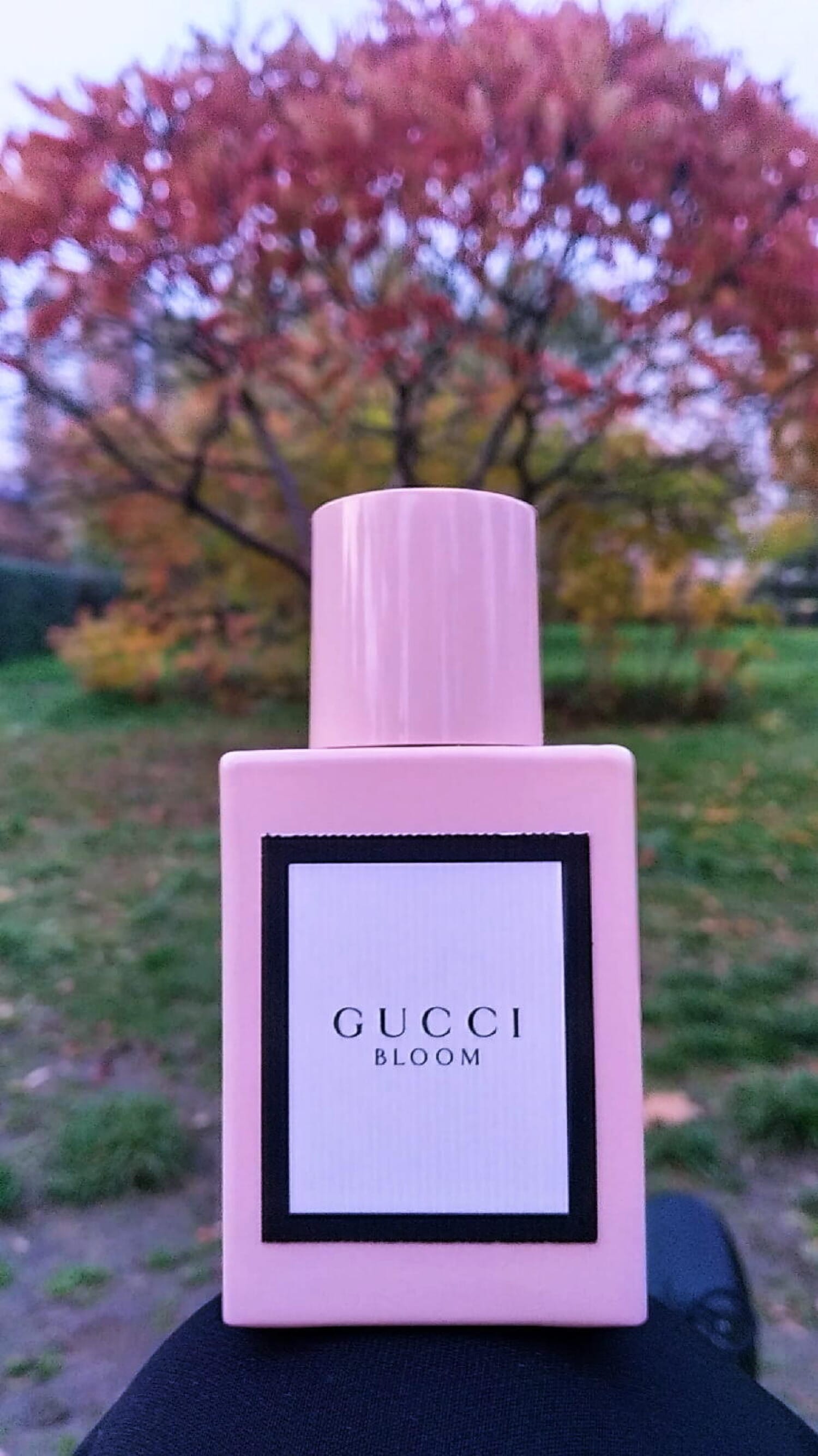 Gucci Bloom, view