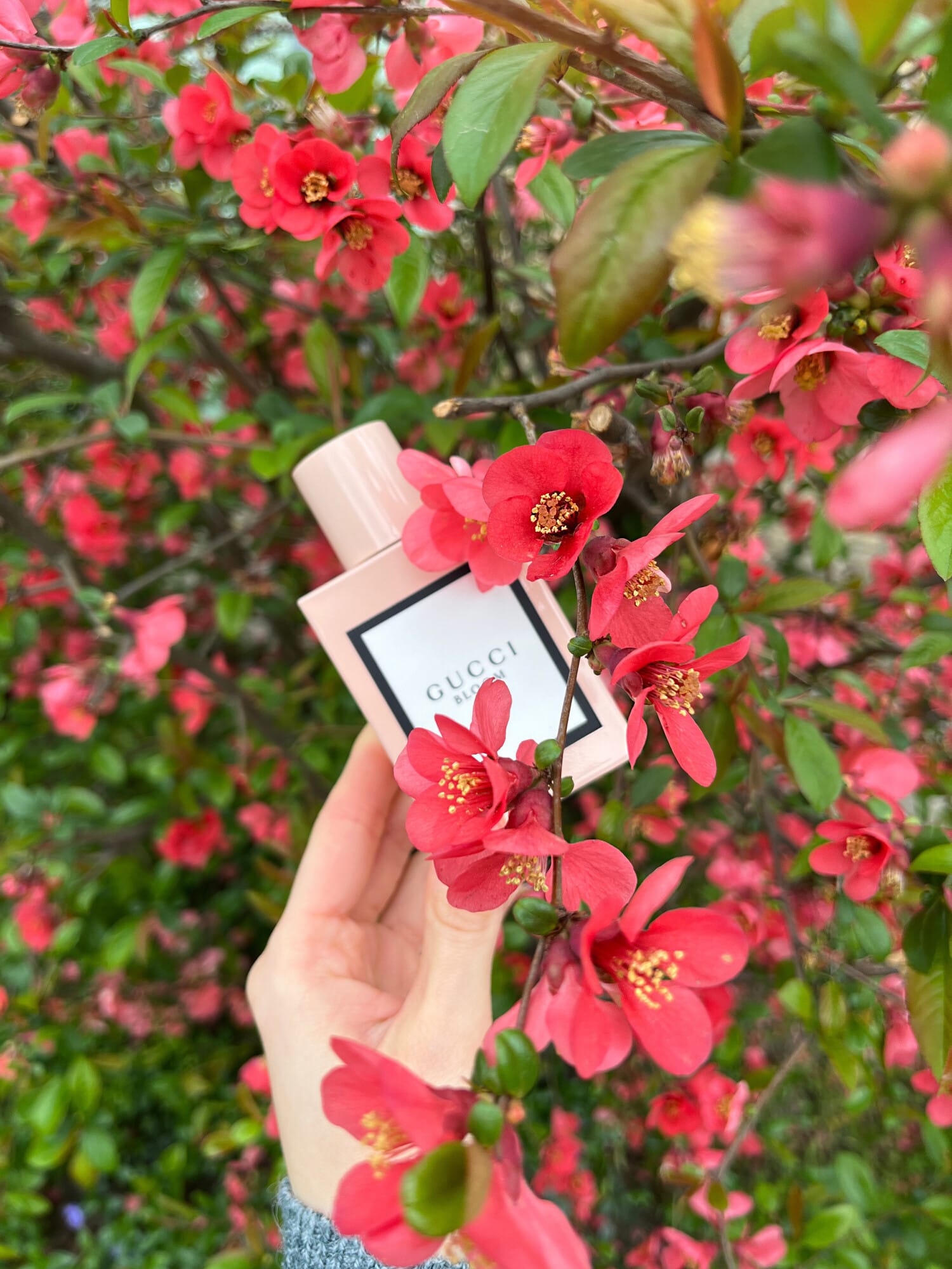 Gucci Bloom, on-skin / lifestyle
