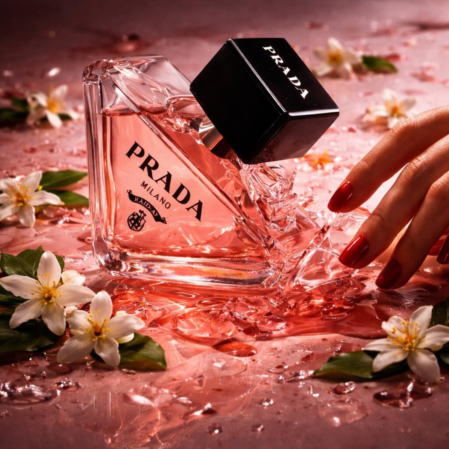 Prada Paradoxe, view