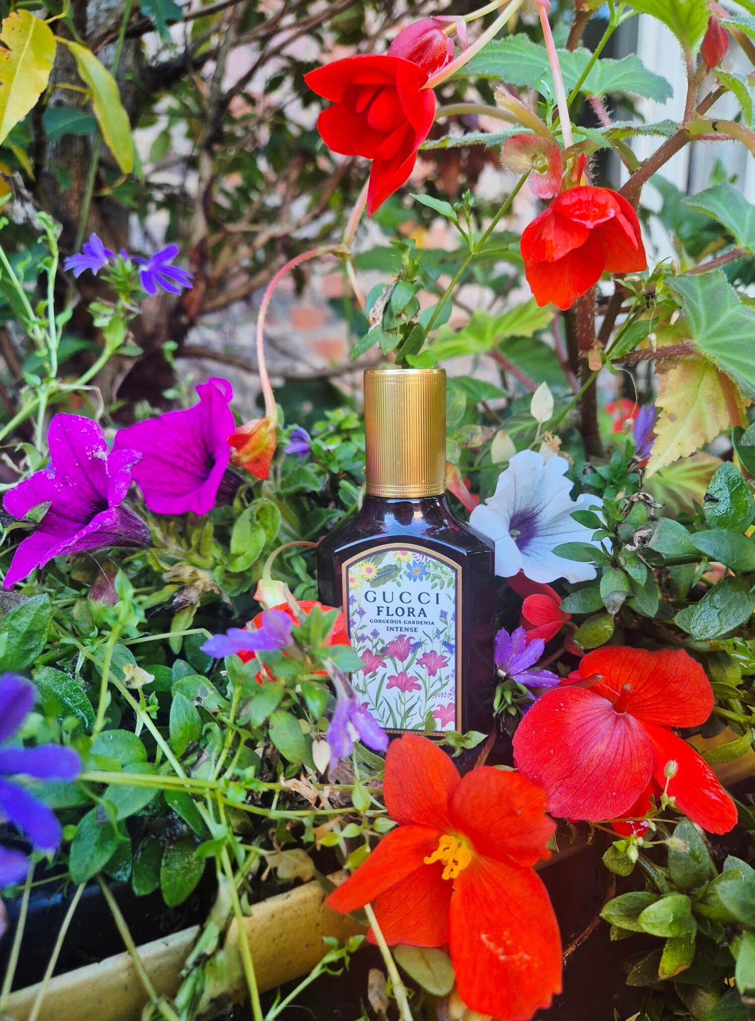 Flora Gorgeous Gardenia Intense, bottle, angle