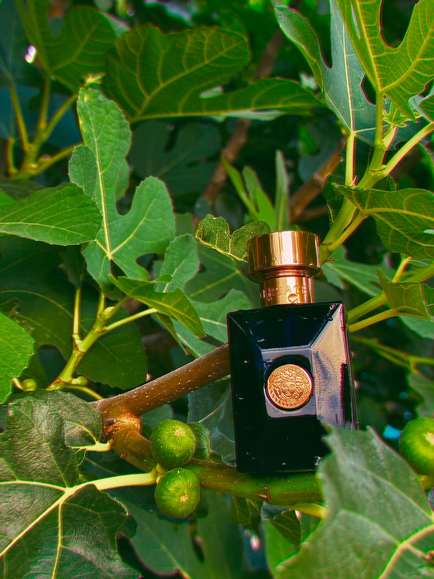 Versace Pour Homme Dylan Blue, view