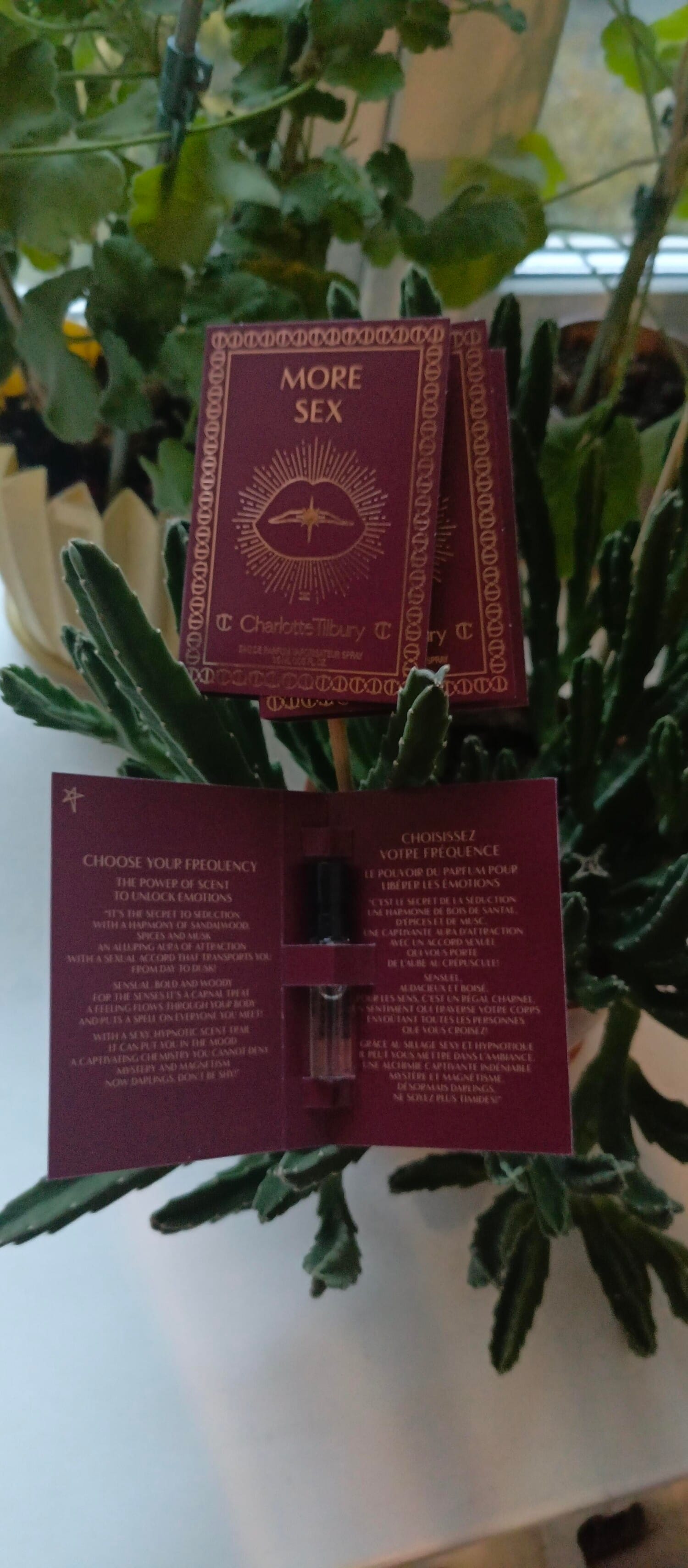 Gentleman Society Eau de Parfum Extrême, decant + box